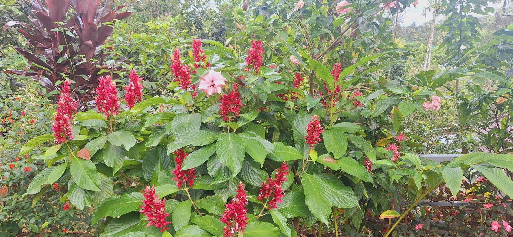 شقة Tranquil Meadows Hues Kattappana المظهر الخارجي الصورة